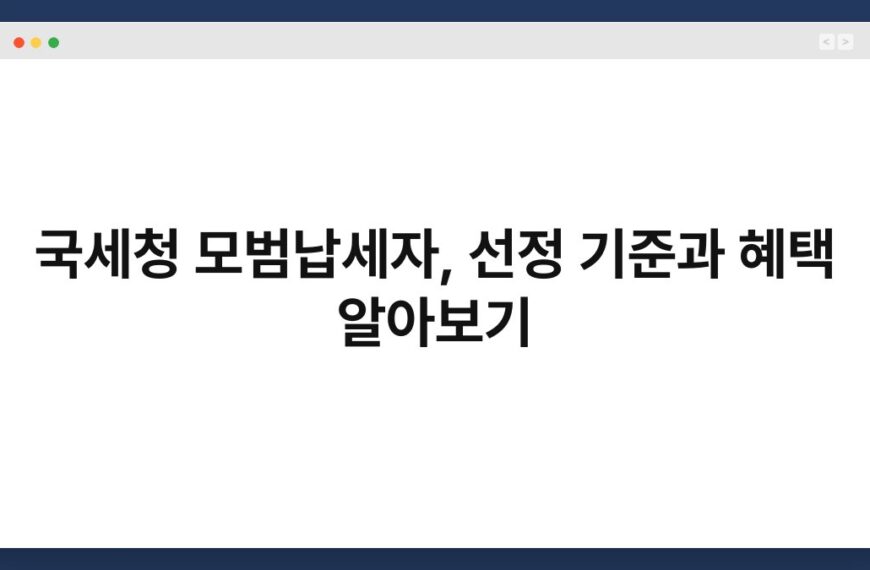 국세청 모범납세자, 선정 기준과 혜택 알아보기 9