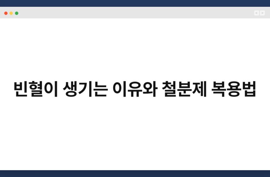 빈혈이 생기는 이유와 철분제 복용법 6