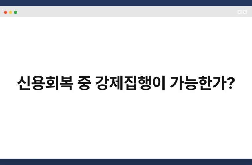 신용회복 중 강제집행이 가능한가? 8