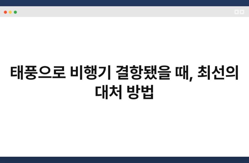 태풍으로 비행기 결항됐을 때, 최선의 대처 방법 5