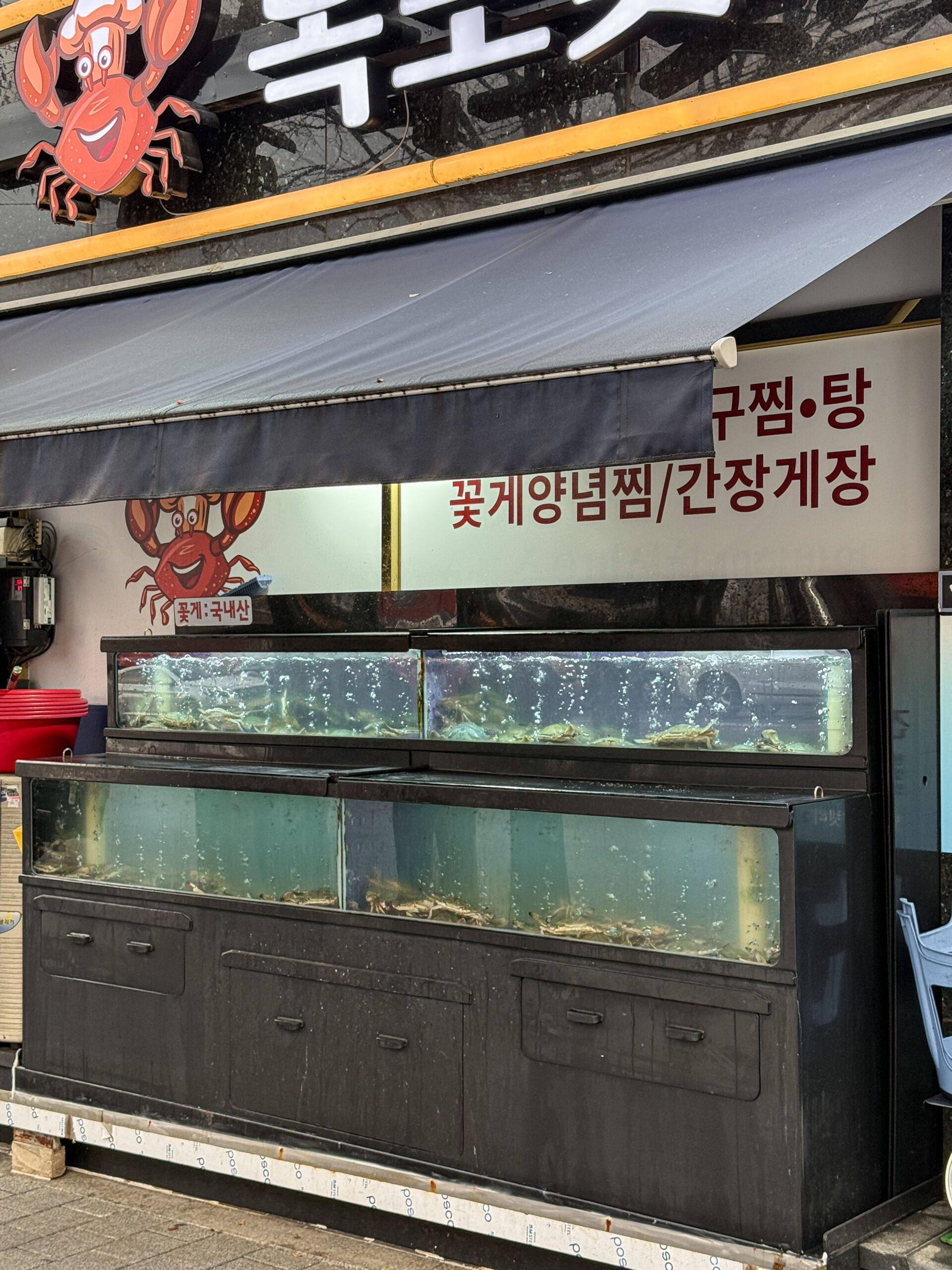 마장동 꽃게 골목 숨은 맛집, 목포꽃게아구찜 다녀왔습니다 4